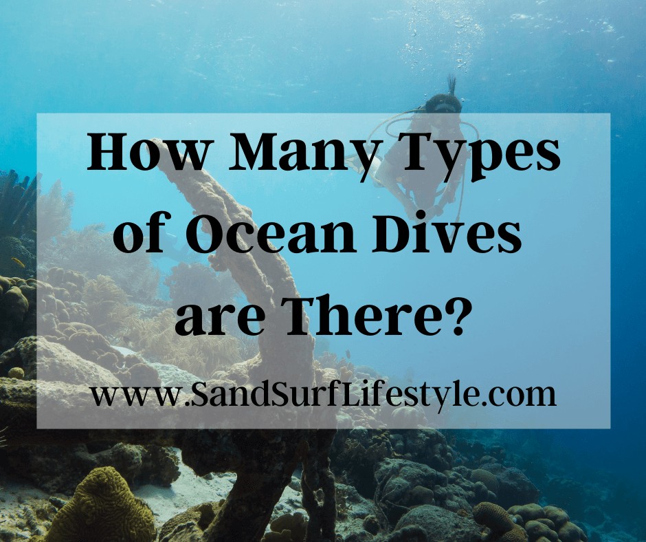 How Many Types of Ocean Dives Are There?