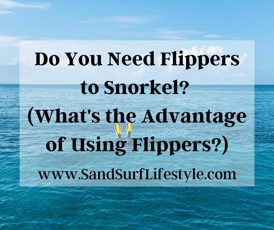 Do You Need Flippers to Snorkel? (What's the Advantage of Using Flippers?)