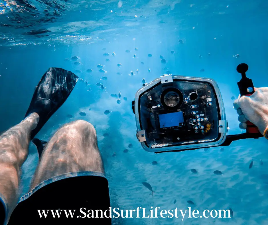 Do You Need Flippers to Snorkel? Sand Surf Lifestyle