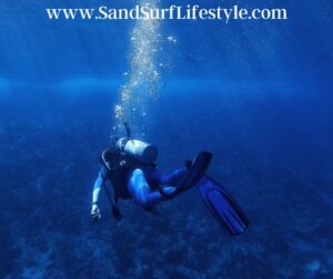 What Are the Main Differences Between Snorkeling Fins and Diving Fins?