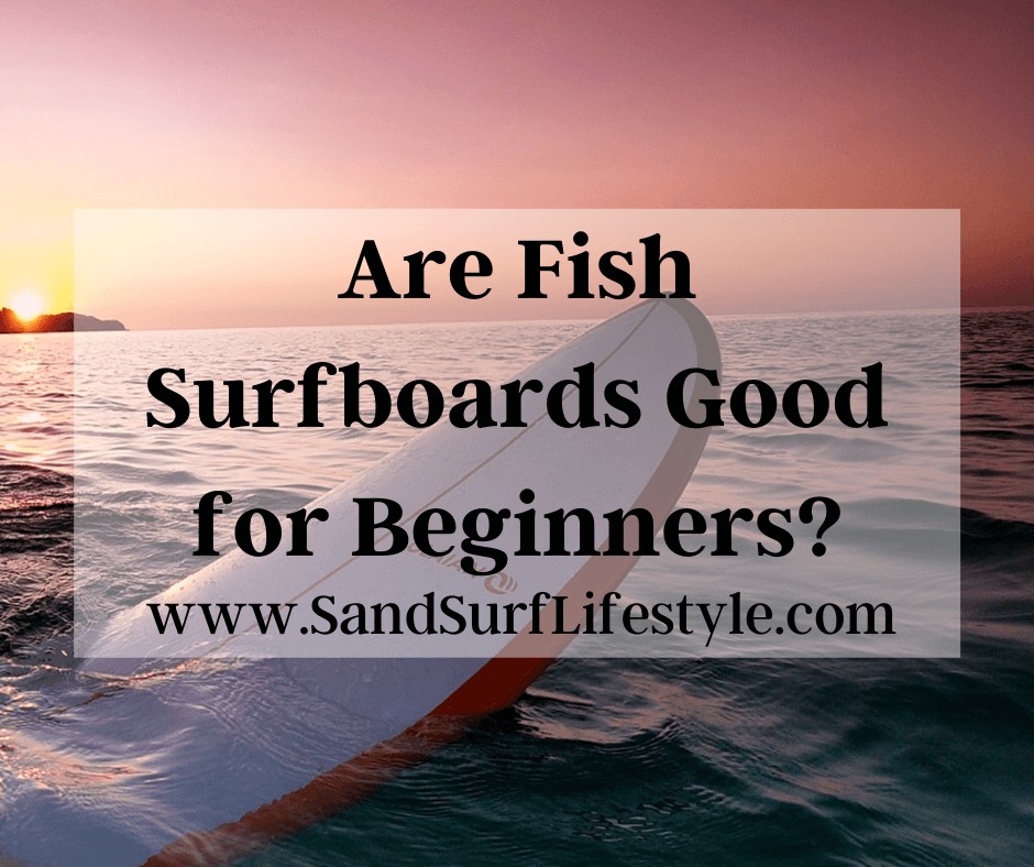 Are Fish Surfboards Good for Beginners?