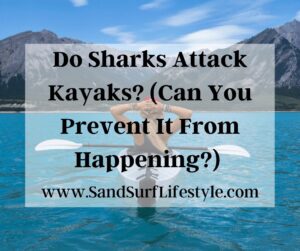 Do Sharks Attack Kayaks? (Can You Prevent It From Happening?) 