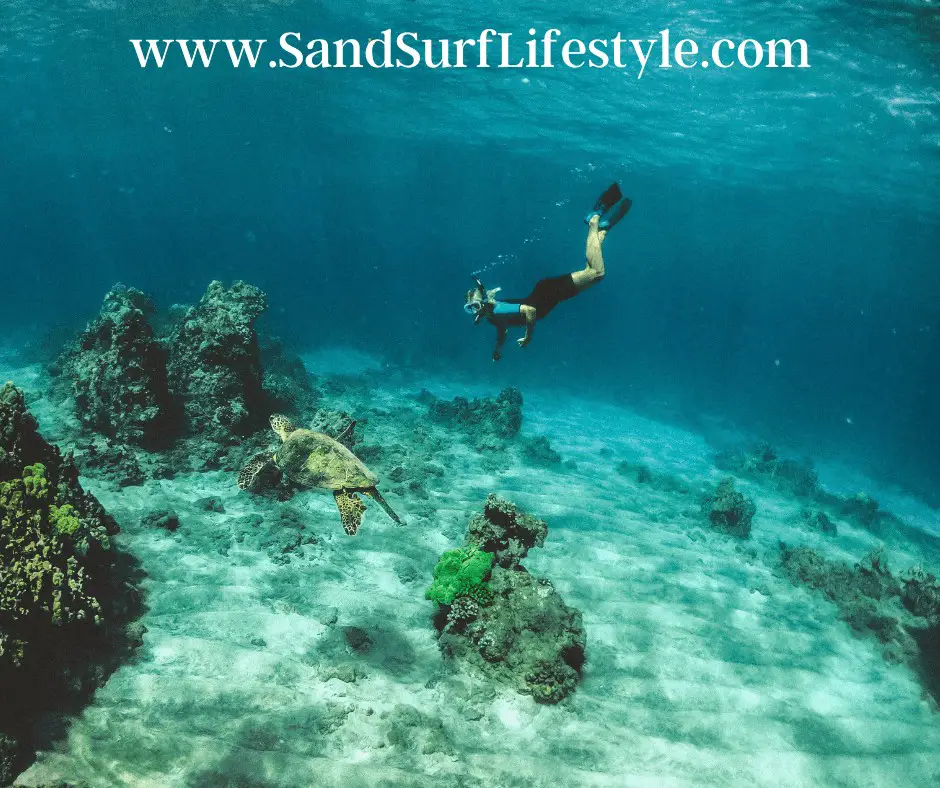 How to Snorkel Underwater Sand Surf Lifestyle