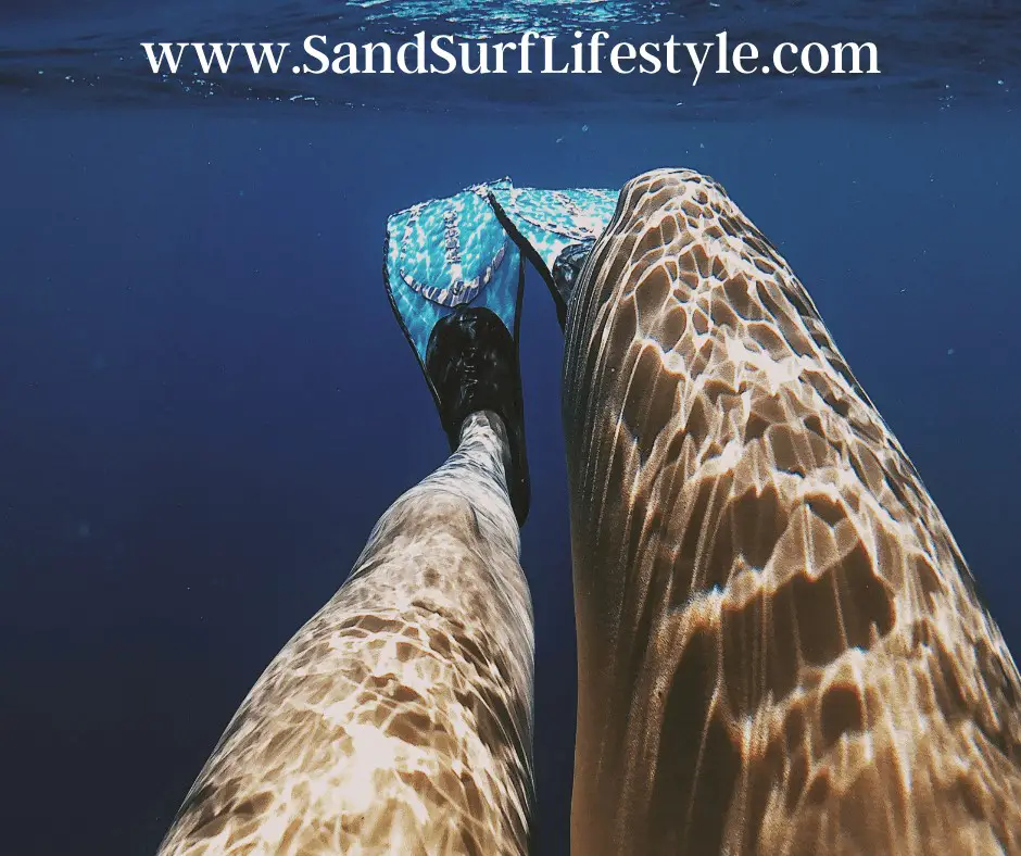 What is the Difference Between Snorkeling Fins and Diving Fins? Sand