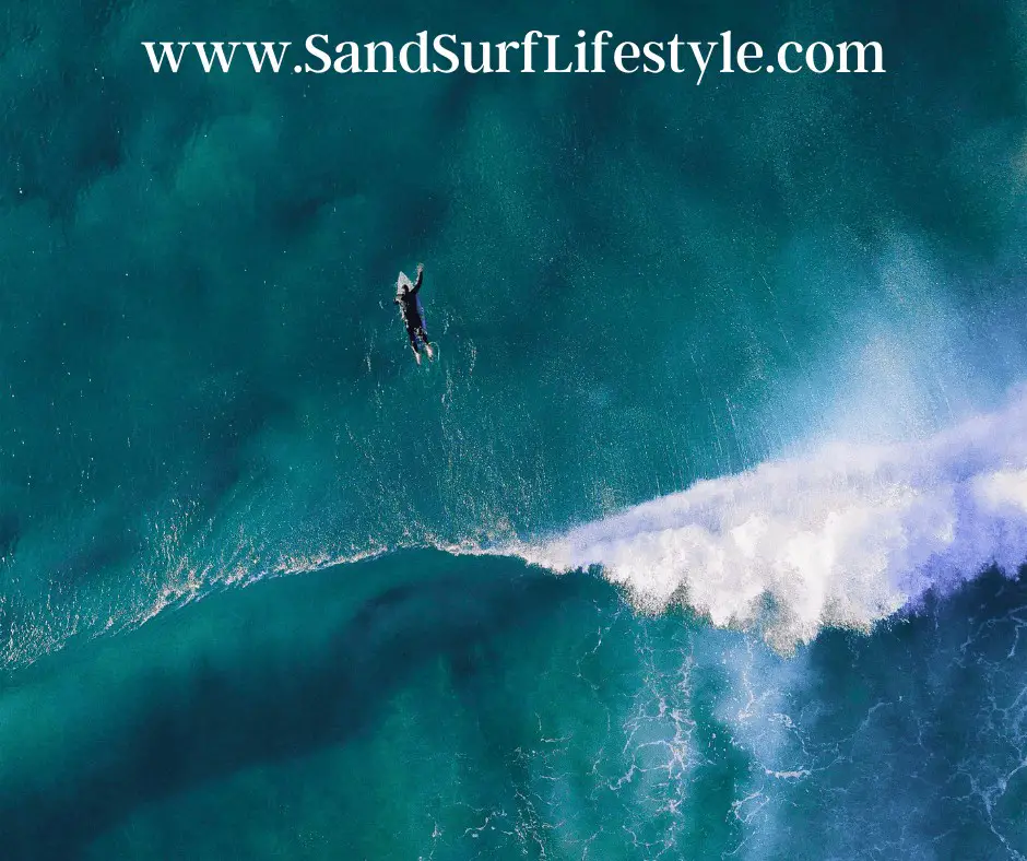 How Nose Shape Affects A Surfboard Sand Surf Lifestyle