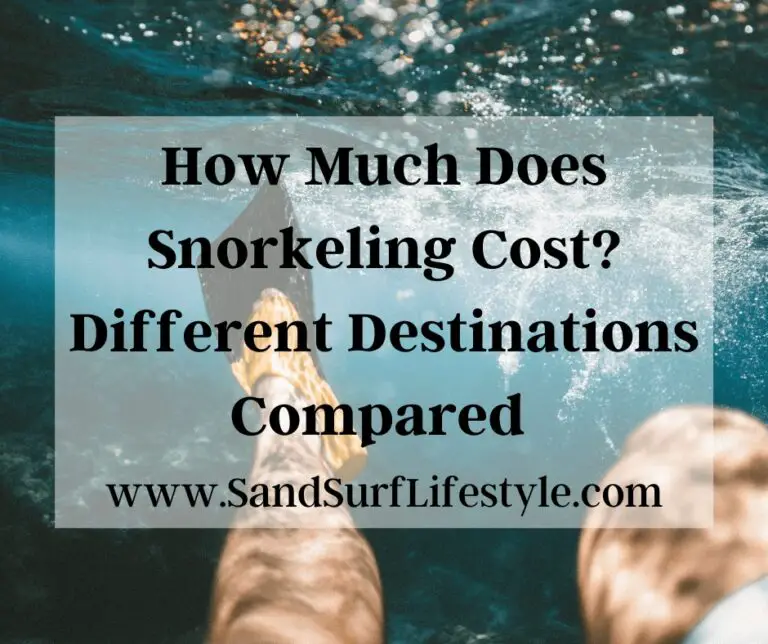 How Much Does Snorkeling Cost? Sand Surf Lifestyle