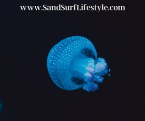 Is It Safe To Swim In The Ocean At Night? 