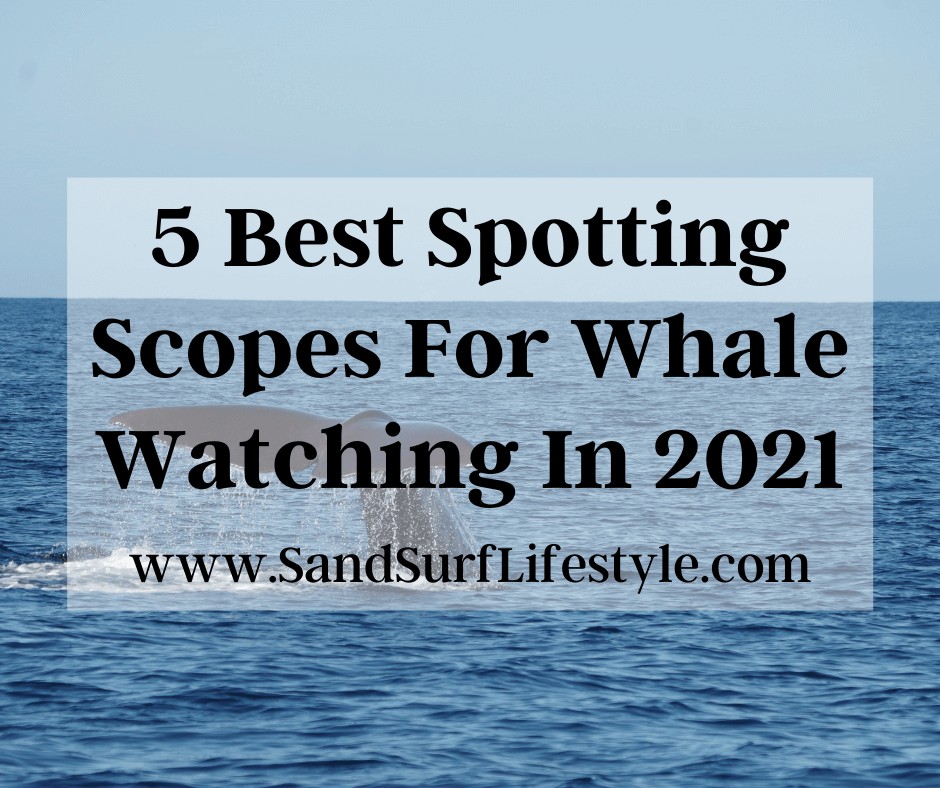 5 Best Spotting Scopes For Whale Watching In 2021